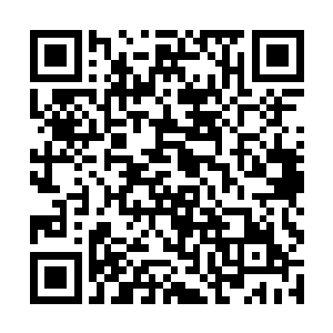 只有当她听到徐有容领悟了大光明剑的时候挑了挑眉二维码生成