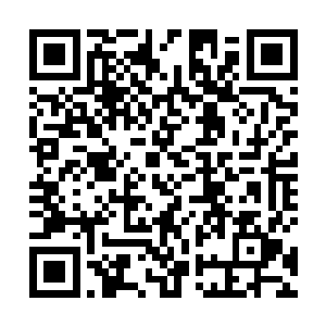 只有当我和二师兄以及五师兄其中一个真正的成长起来二维码生成