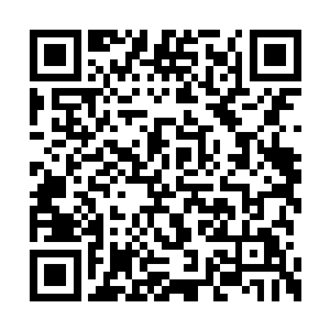 只有当这两棵树已经生长进化到了一定程度之后二维码生成