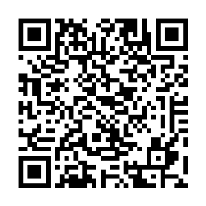 只有徐二夫人还需要费些神跟稳婆一起照看一下两个孩子二维码生成