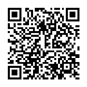 只有我们法雷尔家族的血裔才可以使用它的力量……二维码生成