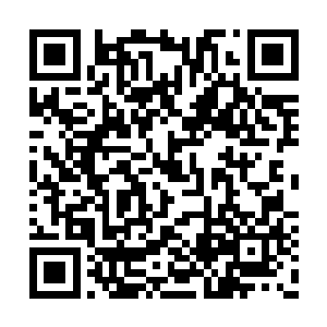 只有我们隐蔽悬吊在悬崖下的藏身地点是安全的二维码生成