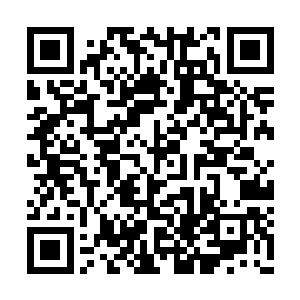 只有把九种不同阵道神通全部领悟炼化成功之后二维码生成