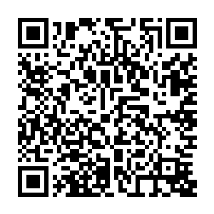 只有拥有小世界的上古阵法才能借着一个世界的力量强行镇压这样的天级高手二维码生成