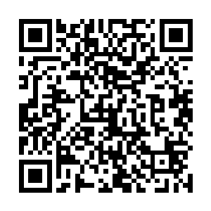 只有更加充满挑战和刺激的生活才是杨戬真正的想要的二维码生成