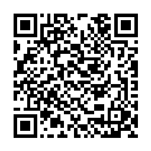 只有最后一头阴影龙强行挺过了冥界死光的破坏性二维码生成