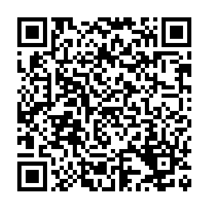 只有杨洛这样为了老百姓不惜牺牲自己生命的警察才值得他们去关心二维码生成