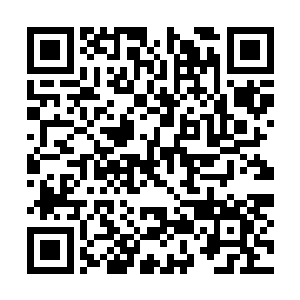 只有极其年迈多病的功勋老臣才蒙圣恩特许坐轿子二维码生成