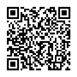 只有极少数强者才能发挥出堪比超级晶脑的计算力二维码生成