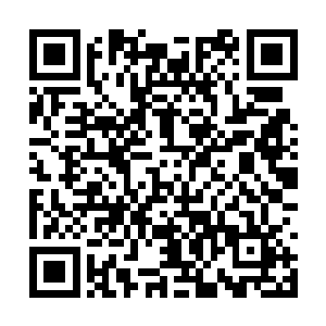 只有极少数的大疫苗生产企业才有资格生产和供货二维码生成