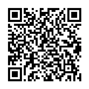 只有极少数的幸运儿才可以活下来的……这些人与其说是人二维码生成