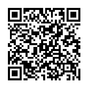 只有极少数的红龙有机缘突破到中级圣兽或者高级圣兽二维码生成