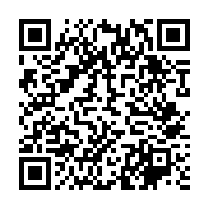 只有海神殿的十几名受伤不太严重的圣皇继续驻守在这里二维码生成