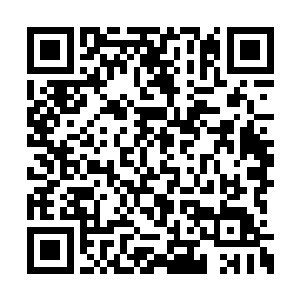 只有灵武拍卖行的百宝阁才会有这么充分的货源二维码生成