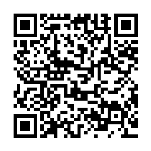 只有炼魔赵元的炼狱轮回的邪术可以夺取别的骑士的脉轮为己用二维码生成