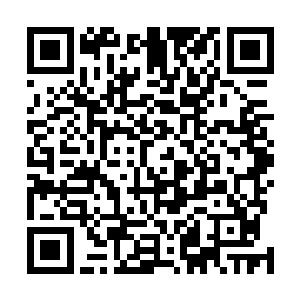 只有熟悉他如自己的人才能看出这人如今只是在强打精神二维码生成