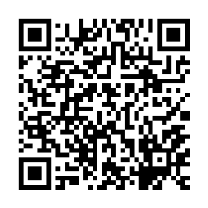 只有玩家明知道在不能使用却强行使用才能遭受主神严厉惩罚二维码生成