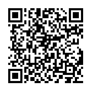 只有登天门中的四大副门主和五方大帅才有资格拥有二维码生成