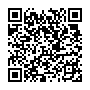 只有真正体会到那套掌法的人才会知道武者的魅力二维码生成