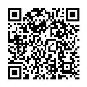 只有真正吸收了五界的力量才知道这样的力量是什么样的二维码生成
