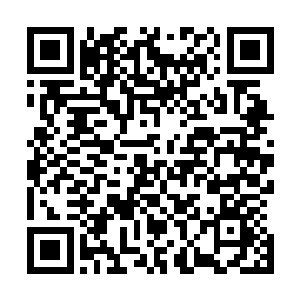 只有真正吸收过神血石中能量的他才知道这玩意有多了不起二维码生成