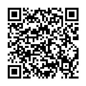 只有真正的表演者才能够体会到所谓的表演节奏和表演气场二维码生成