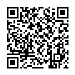 只有知识最渊博的远古之神方可鉴别出它的真面目二维码生成