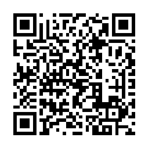 只有稀稀疏疏的绿草和几颗看上去无精打采的大树二维码生成