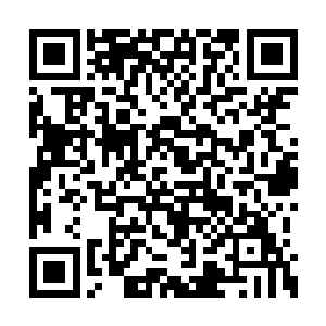 只有站在旁边的许浩量双目在眼眶里来回滚动着二维码生成
