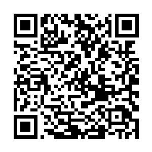 只有第一次见过这么大场面的铁塔忍不住心中的好奇二维码生成