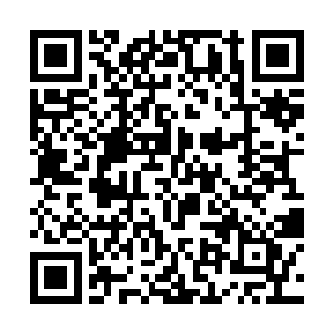 只有等以后进入任务世界收集一些有用的植物种子了二维码生成