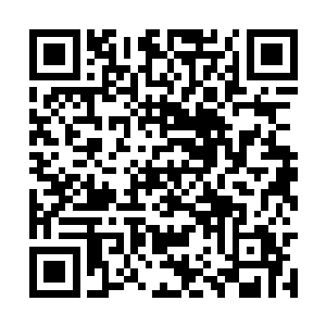 只有耳边时不时萦绕来的将军夫人的哭声让他烦躁二维码生成