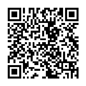 只有脑子有病的人才会在自己的卧室里设置陷阱什么的二维码生成