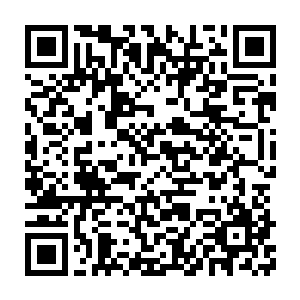 只有苗毅才会认为这株仙草是那只冥螳螂无意中从万丈红尘里带出来了二维码生成