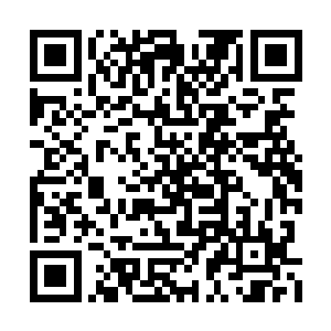 只有苗毅这种没了退路的人才有可能在地狱拼命二维码生成
