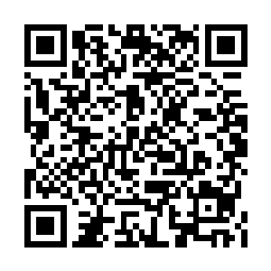 只有许浩博父子二人一脸沉重地留在了大殿之内二维码生成