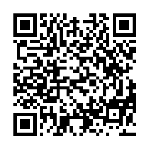 只有跟着白岩松一起出来的小黄和婼澜露出喜悦的神色二维码生成