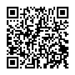 只有达到了圣祖级别之后他才能够找到界心的存在二维码生成