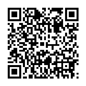 只有这样他才能忍住那想要把眼前的人吞到肚子里的欲望二维码生成