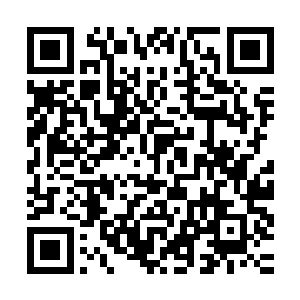 只有这样才能绕过到处都是秘社武装人员把守和摄像头的主道路二维码生成