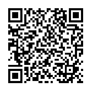只有这样才能逐渐稳固你的帝位而不被任何其他人威胁二维码生成