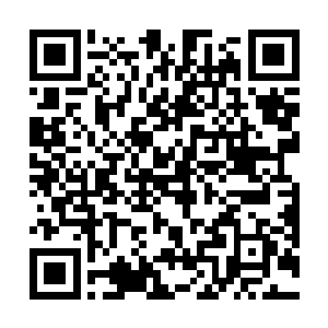 只有造梦师可以单方面朝虚空猎手的思维深处灌输信息二维码生成