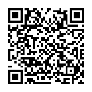 只有那一千名阵法师每人得到了一百万块下品灵石二维码生成