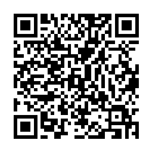 只有那么几届才会有几位旁系分支的天骄位列其中二维码生成