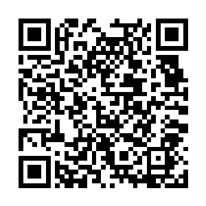只有那些和林烽在一起经历过许多的白羽门弟子们二维码生成