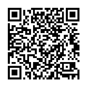 只有那些真正的大家族才会知道四个顶级家族是哪四个二维码生成