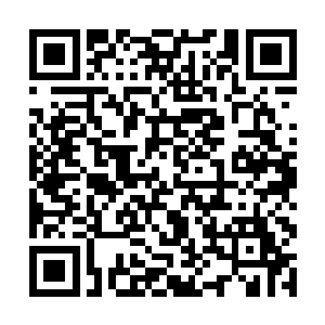 只有那几位最顶尖的内门弟子才有资格拥有青阳金令二维码生成