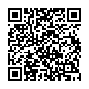 只有那种极为高贵的魔族才能够拥有如此纯净的魔族气息二维码生成