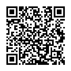 只有野鸭湖边上的那上万亩的已经枯黄的芦苇荡二维码生成