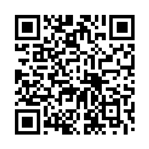 只有金丹后期及以上实力的人才能升空飞行二维码生成